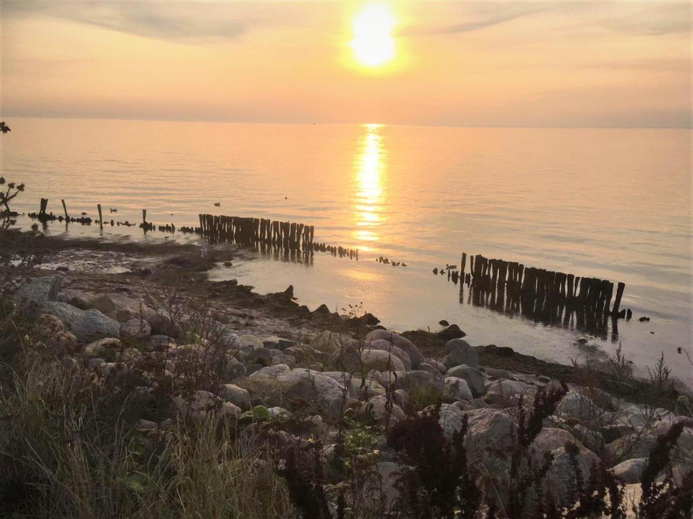 Dahmer Strand 18 Muschelhus Eksteriør billede